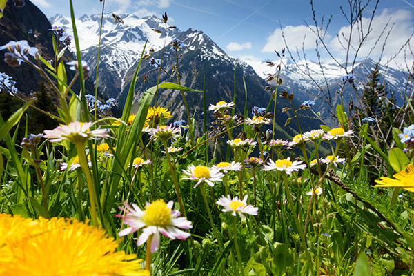 Wandern in den Alpen – dem Stress davonlaufen | alltours Reiseblog