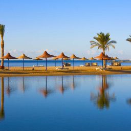 Palmen und Strand in Ägypten