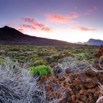 Tenerife Teide National Park