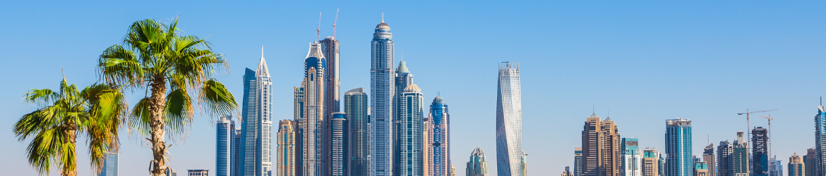 Dubai Skyline